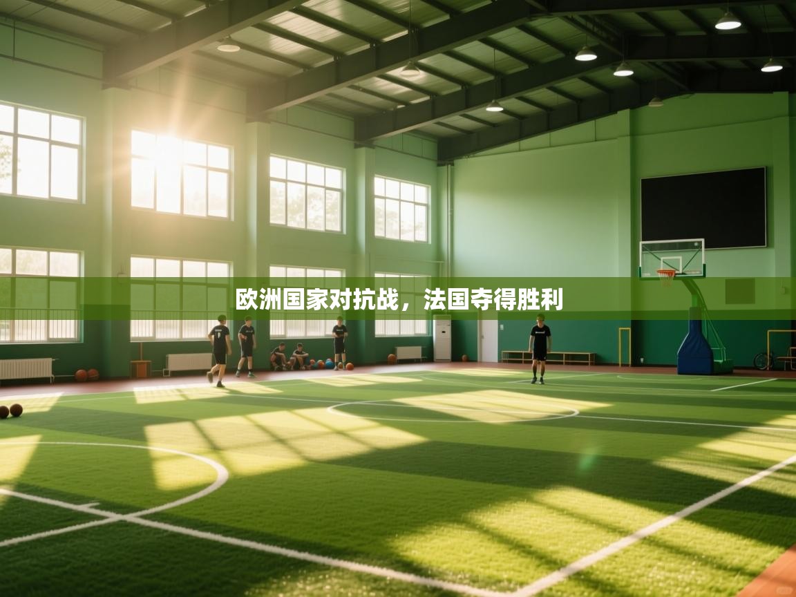欧洲国家对抗战,法国夺得胜利 第1张
