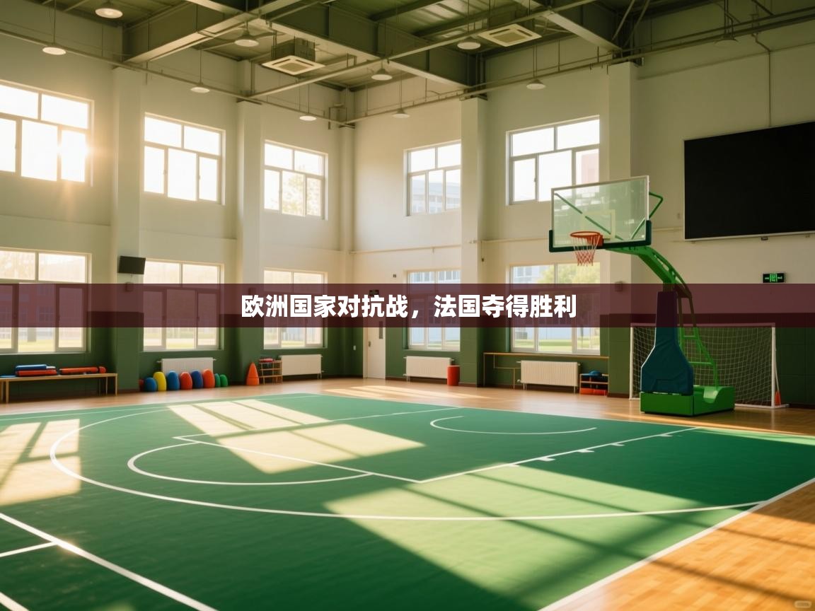 欧洲国家对抗战,法国夺得胜利 第2张