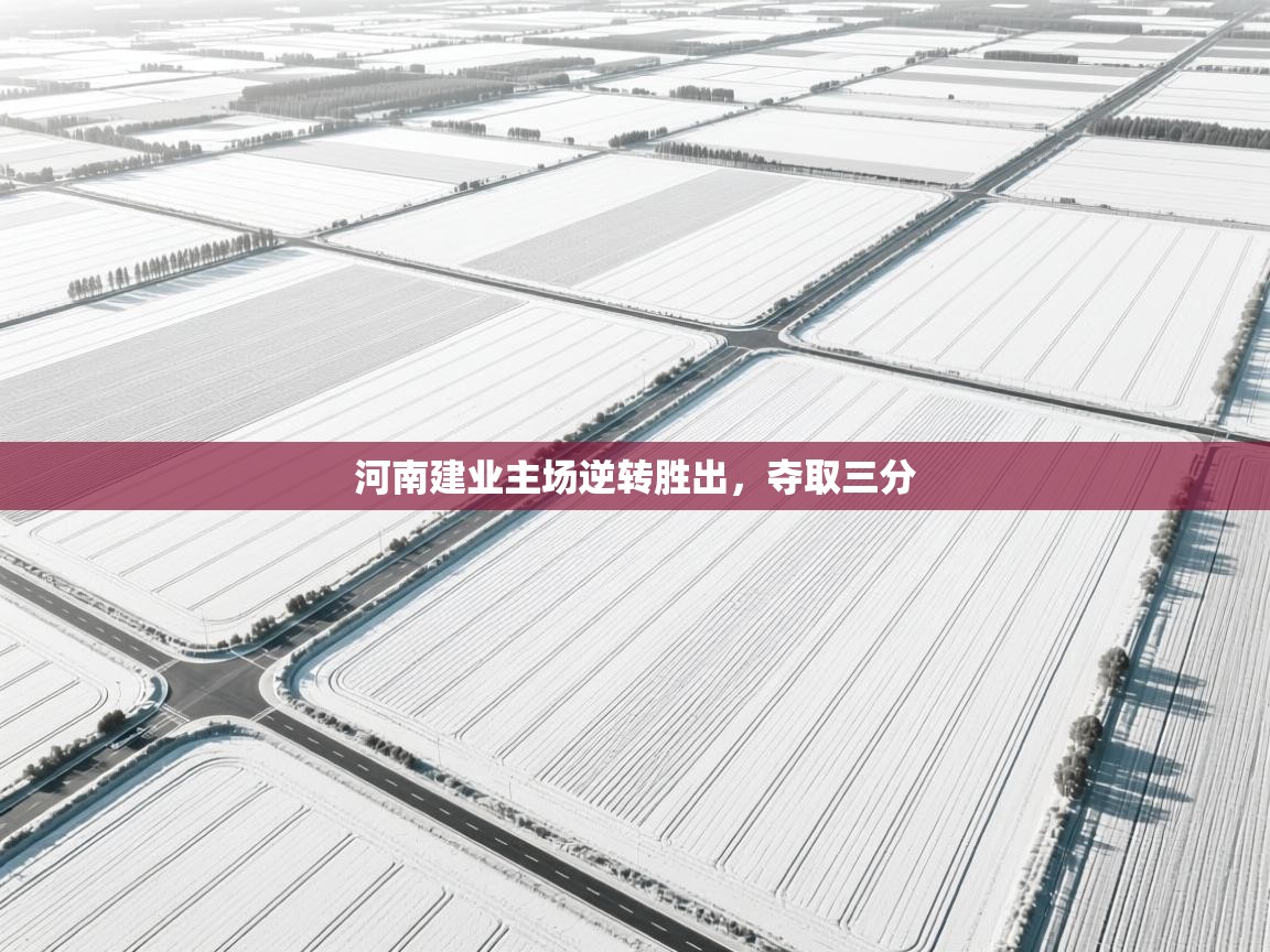 河南建业主场逆转胜出，夺取三分  第2张